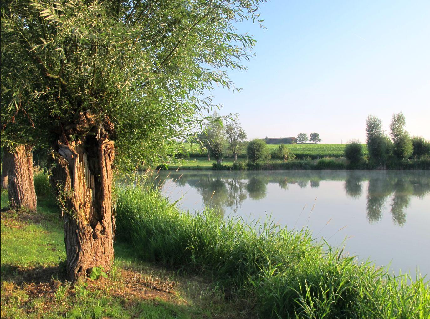 Mühlbachsee